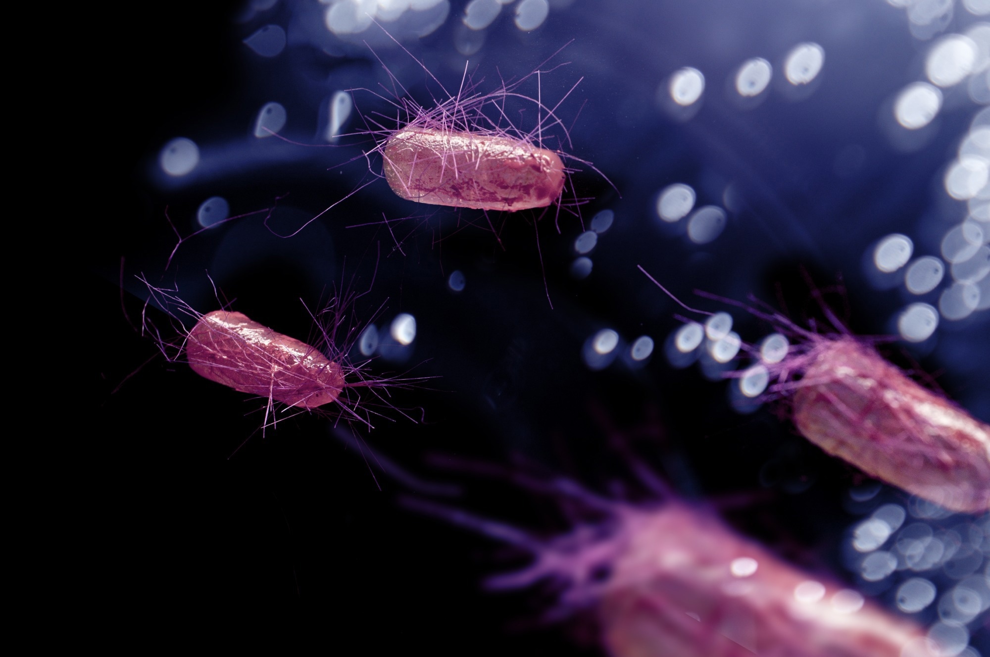 Review: From field to plate: How do bacterial enteric pathogens interact with ready-to-eat fruit and vegetables, causing disease outbreaks?. Image Credit: Ezume Images / Shutterstock