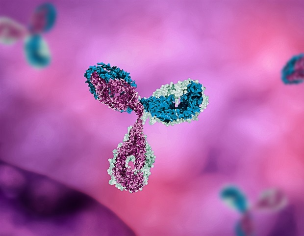 Une infection antérieure à Zika augmente le risque de dengue grave, selon une étude