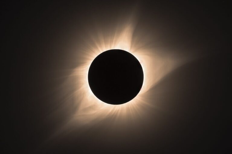 Bill Nye explique comment les enfants peuvent observer l'éclipse solaire