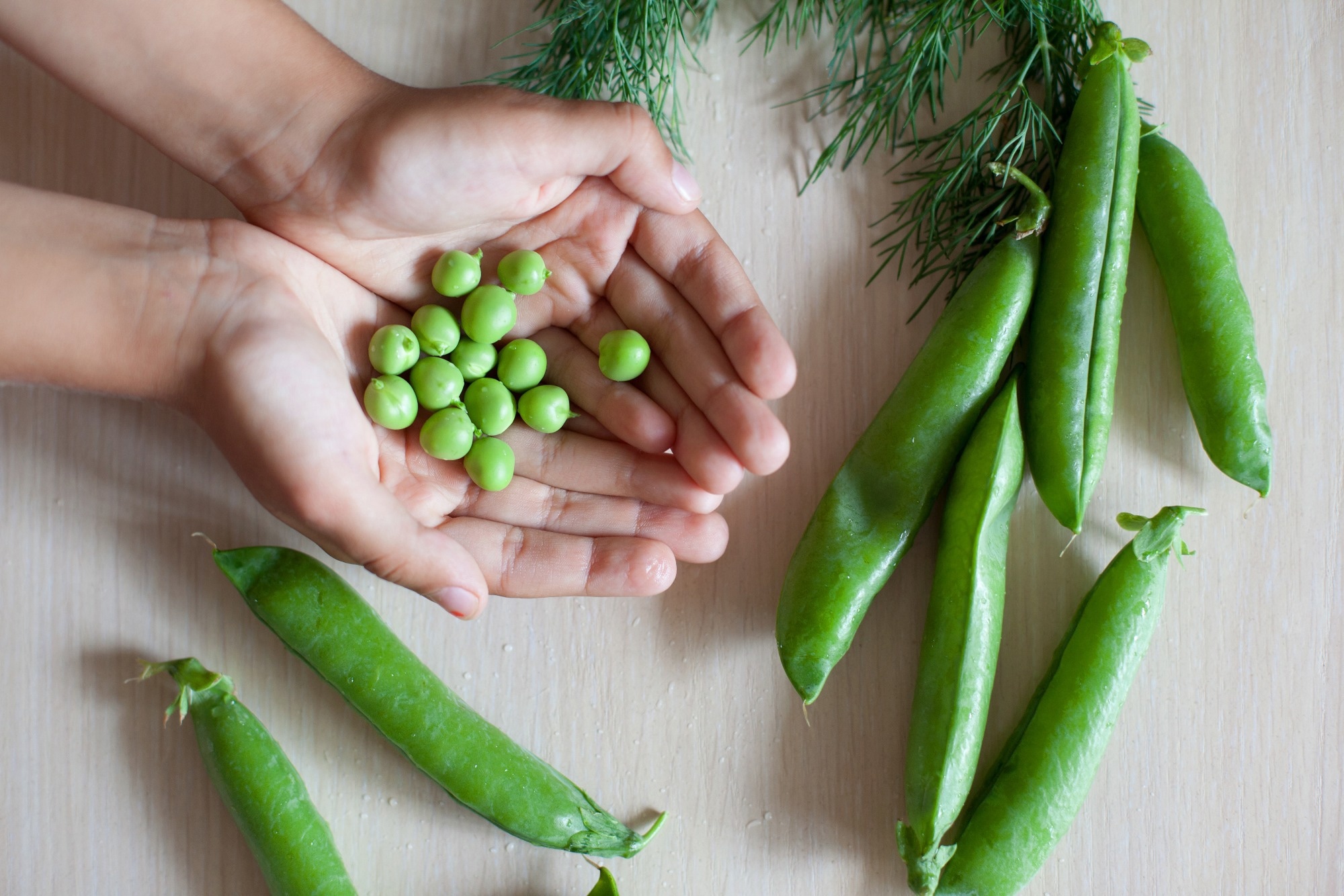 Consommation précoce de légumineuses liée à une meilleure nutrition chez les tout-petits