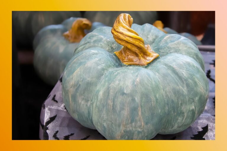 Voici ce que signifient les citrouilles turquoise lors d'une fête ou d'un traitement