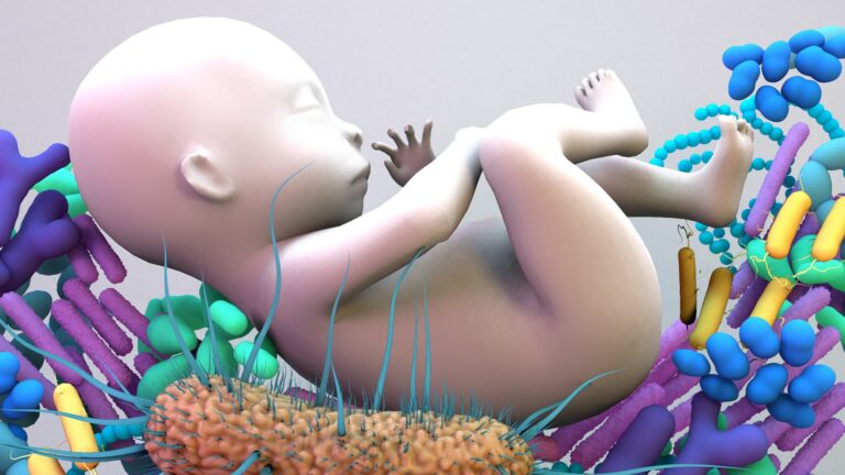 Comment la naissance et l'environnement de votre bébé peuvent façonner la santé intestinale tout au long de sa vie