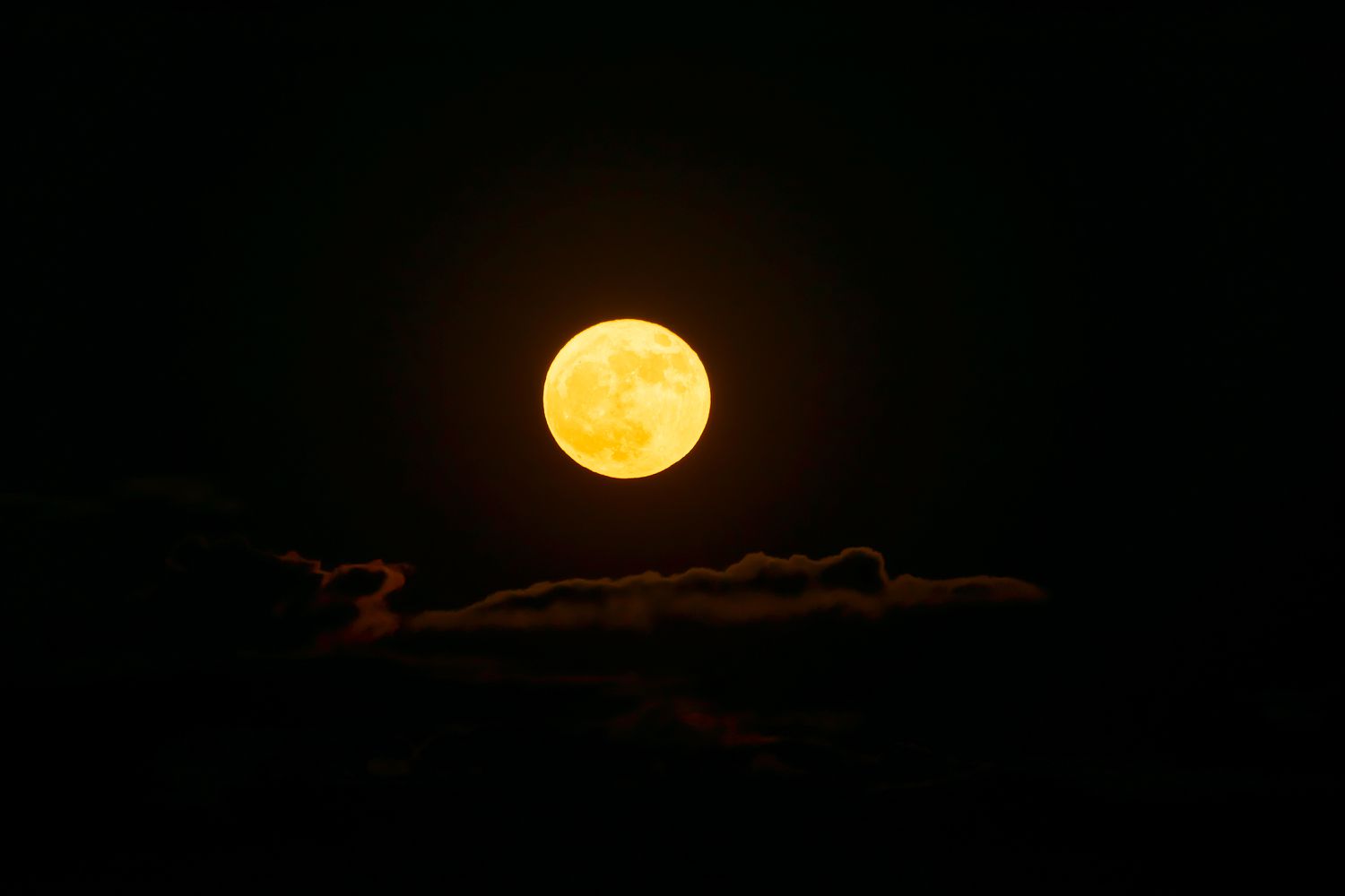 Pourquoi votre famille devrait découvrir la Lune du chasseur