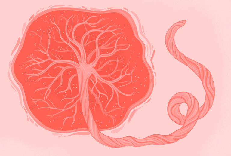 Effets secondaires de la consommation de placenta : ce qu'il faut savoir