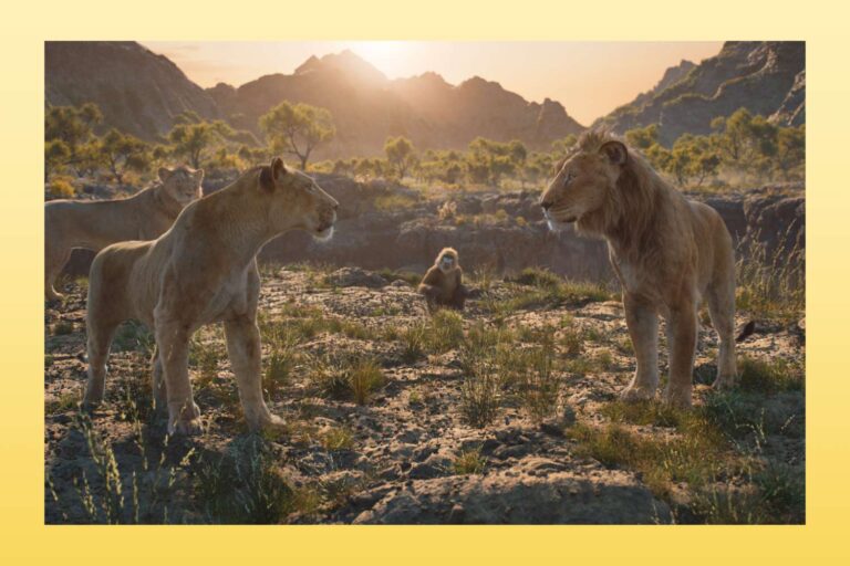 Le Roi Lion est centré sur la fraternité