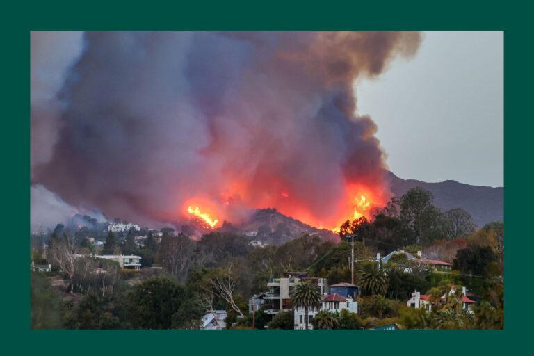 Comment parler à vos enfants des incendies de forêt en Californie