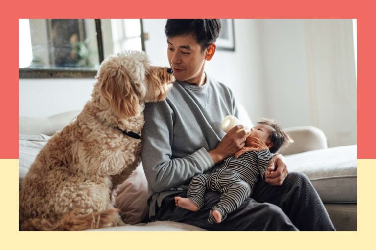 Comment les chiens peuvent réduire le risque d'eczéma de votre bébé