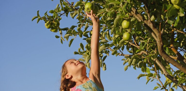 Dois-je limiter la quantité de fruits de mon enfant car elle contient du sucre?
