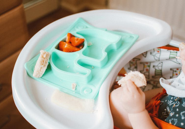 Un petit enfant dans une chaise haute mange contient du pain. Certaines fraises sont laissées sur l'assiette.