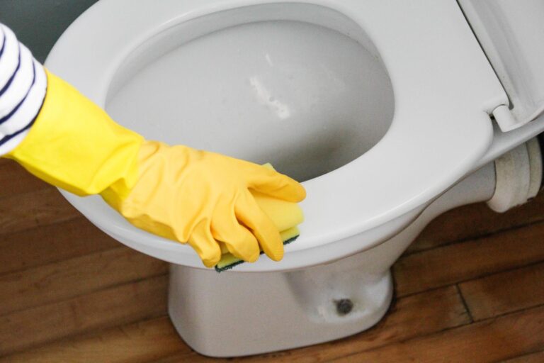 Cette maman dit que son siège de toilette lui a dit qu'elle était enceinte