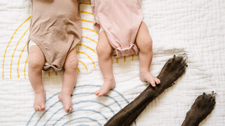 Des jumeaux nouveau-nés ? Voici comment les distinguer facilement