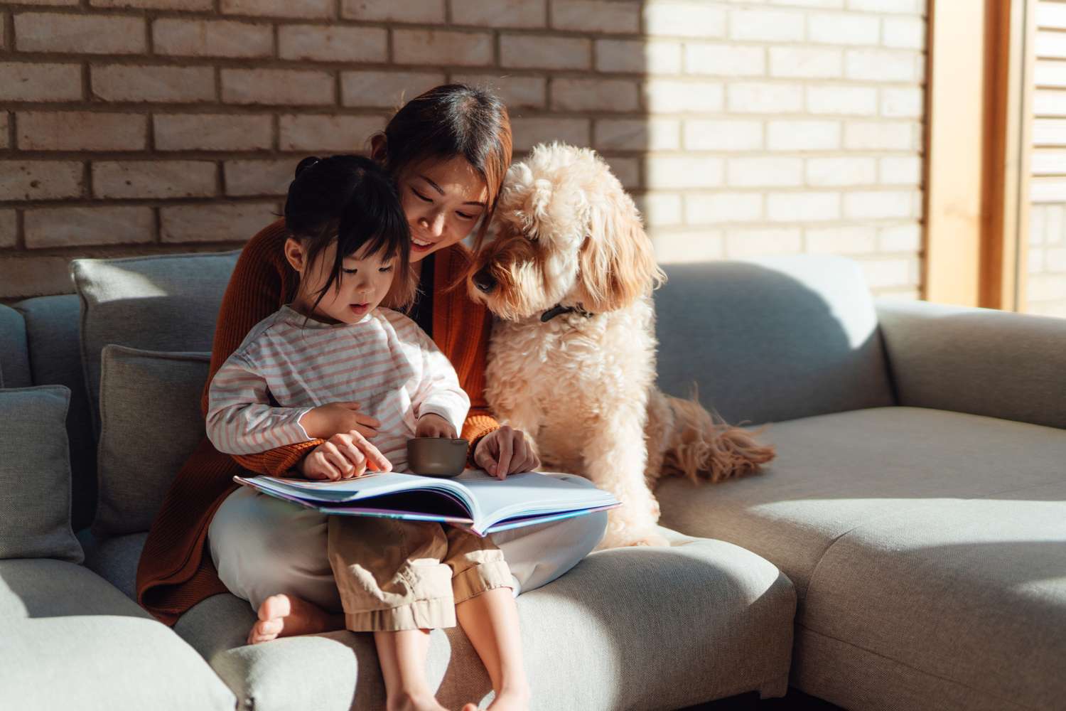 Ce que votre chien peut avoir en commun avec votre tout-petit