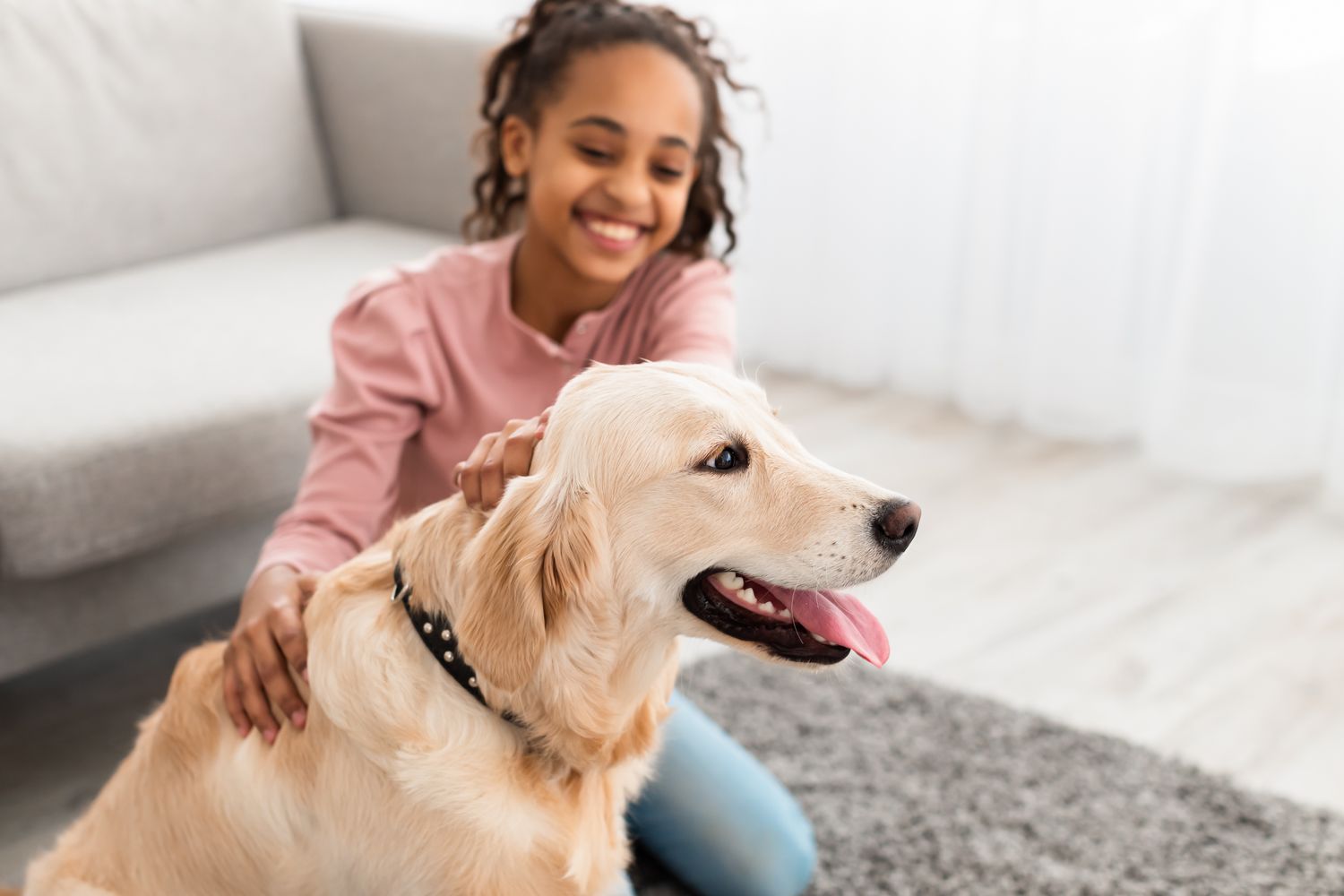 Ces races de chiens sont connues pour être excellentes avec les enfants
