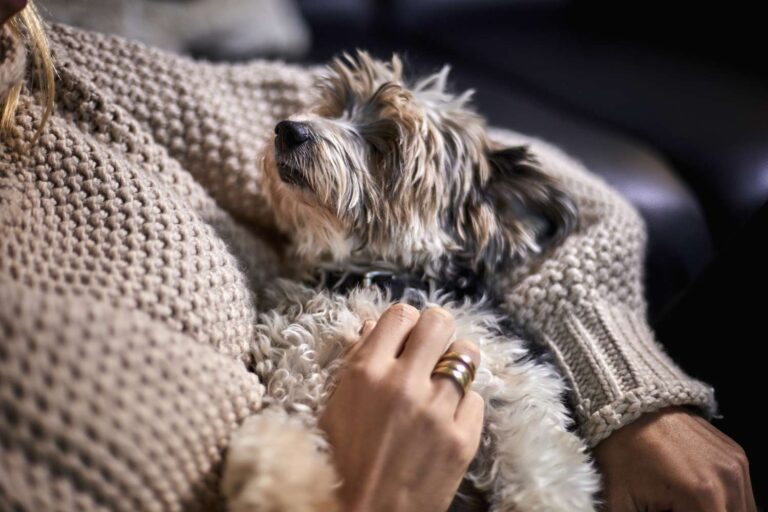 Comment le chien que je pensais ne pas vouloir m&rsquo;a aidé à surmonter le syndrome du nid vide