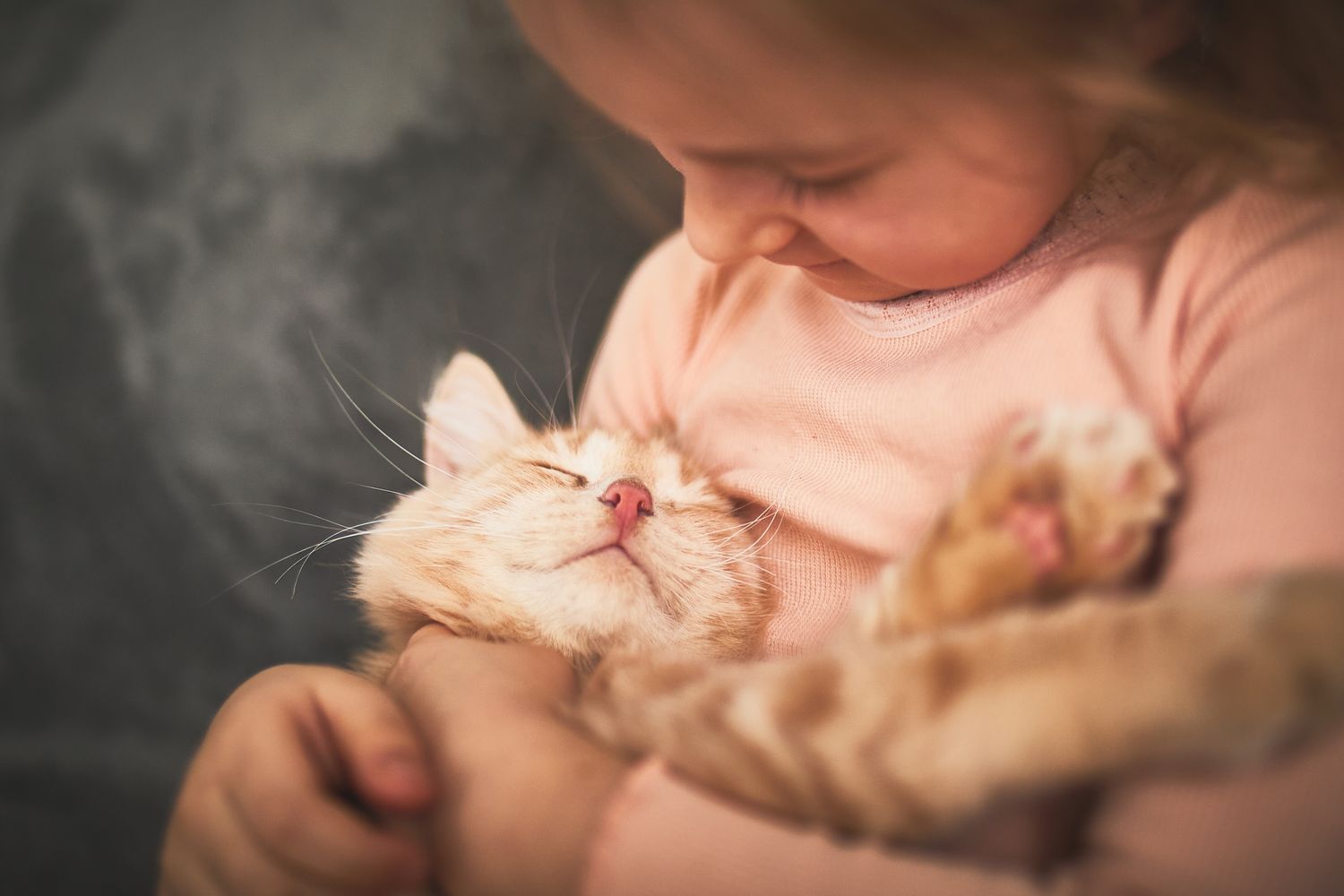 J'avais peur que mes chats n'aiment jamais mon bébé : comment cela a changé